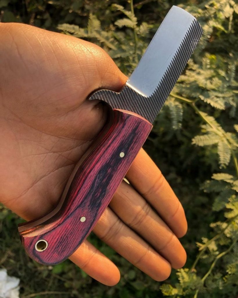 Custom Handmade Bull cutter Knife with Pakka Wood