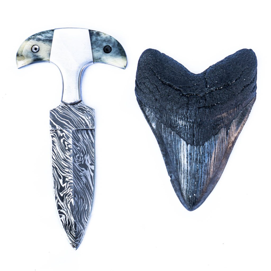 Handmade High Carbon Damascus Steel Shark Tooth Knife