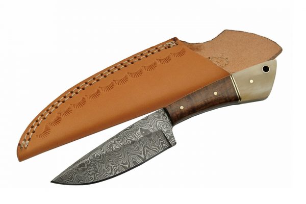 Skinning Knife With Walnut Wood Handle