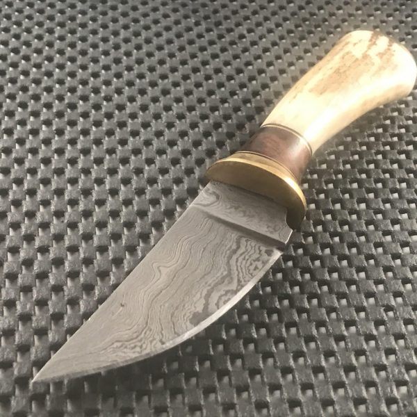Skinning Knife With Stag Handle